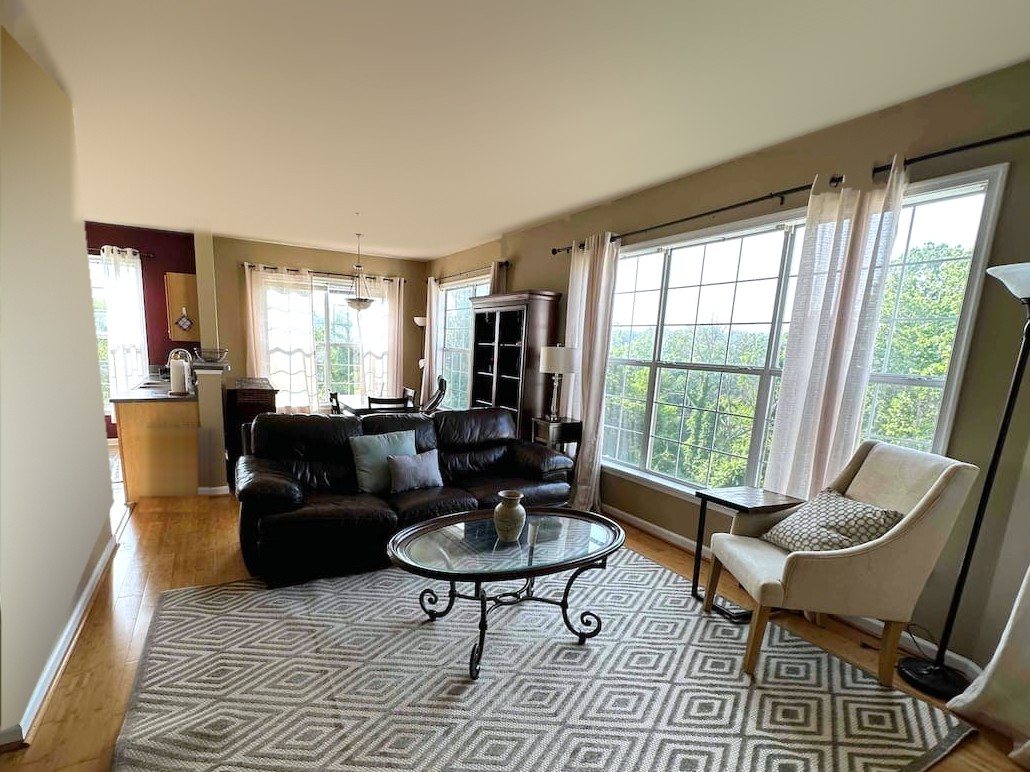 The condo living room in Charlottesville